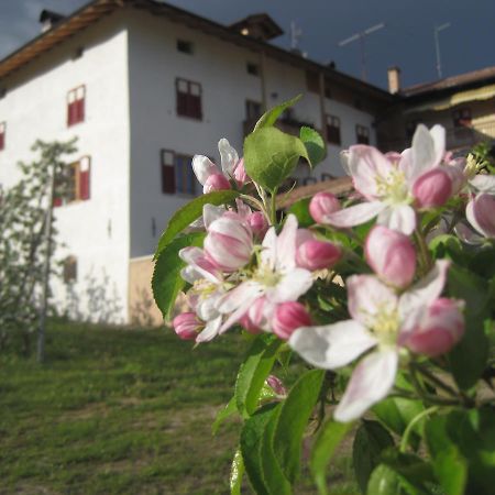 Agritur Maso San Bartolomeo Villa Romeno Kültér fotó