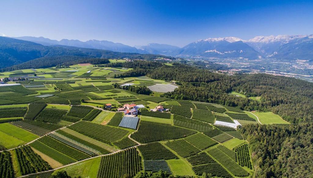 Agritur Maso San Bartolomeo Villa Romeno Kültér fotó