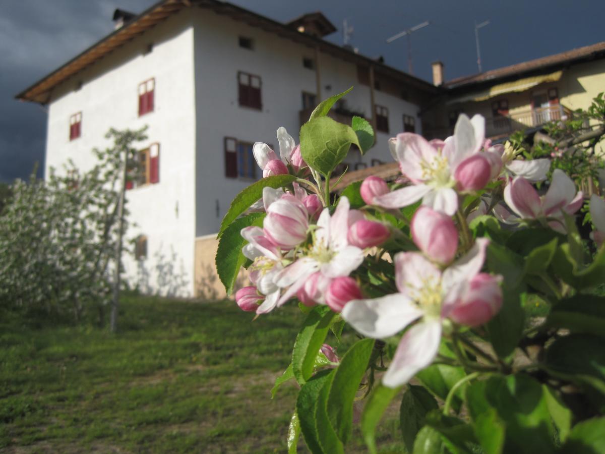 Agritur Maso San Bartolomeo Villa Romeno Kültér fotó